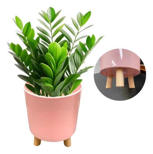 Vaso Para Plantas Com Tripé 20x16