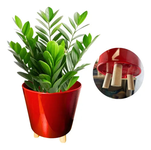 Vaso Para Plantas Com Tripé 20x16