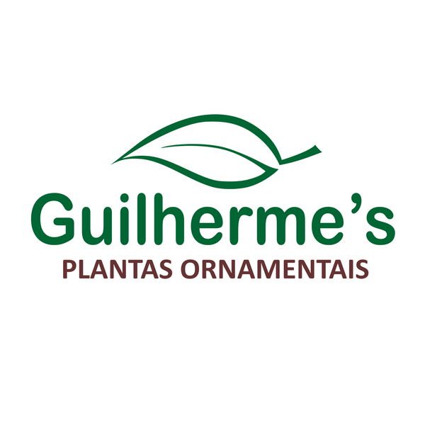 Guilherme's Plantas