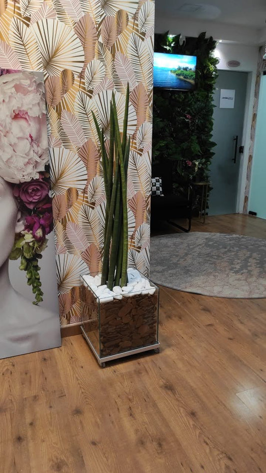 Lança de São Jorge c/ Vaso de Vidro 35x35