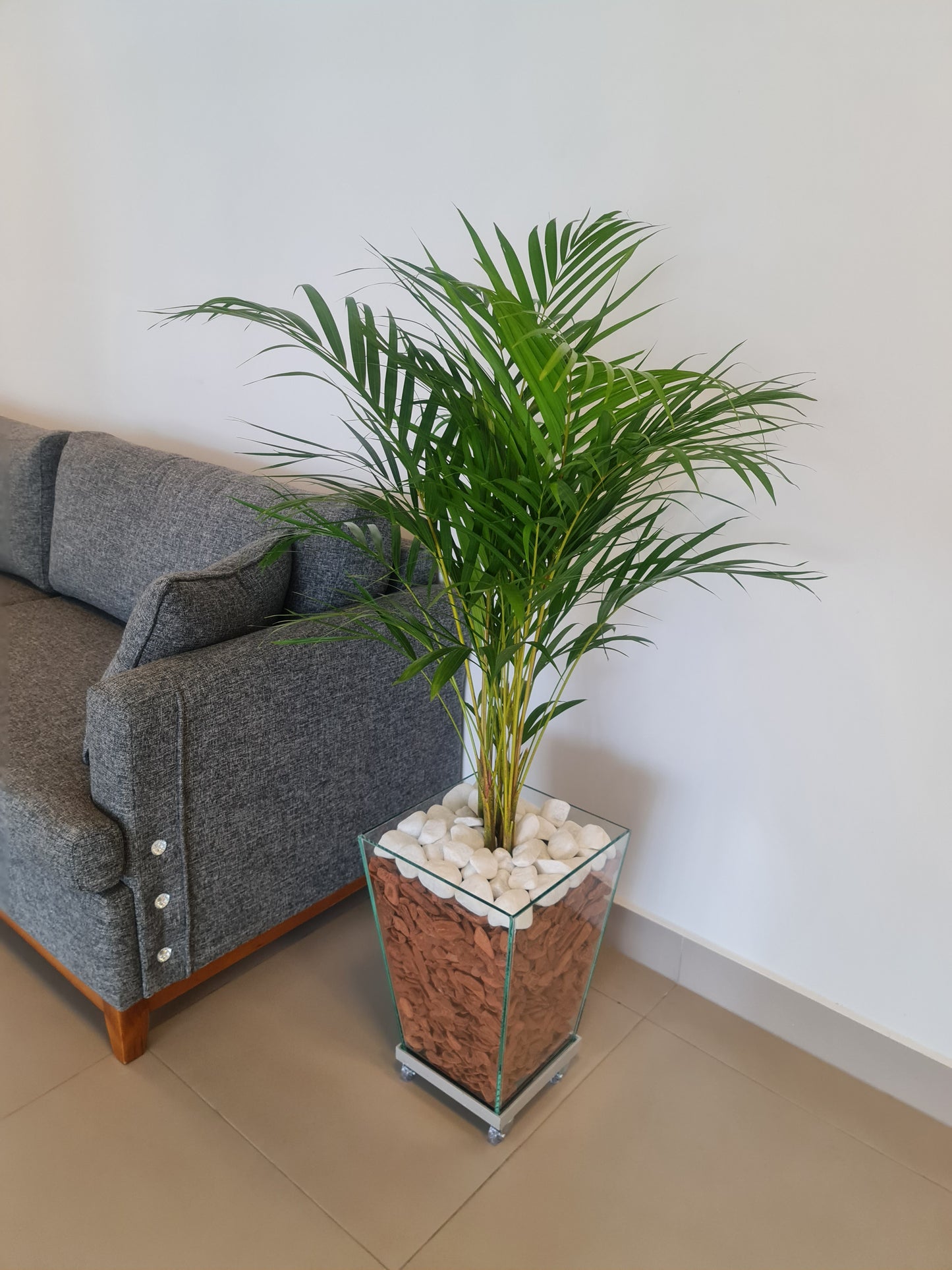 Areca Bambu c/ Cachepot de vidro 40x30